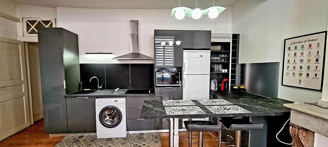 T2 Cosy - Capitole - Calme - Wi-Fi - Netflix Apartment Toulouse